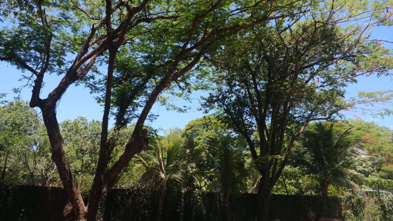Falls Park *